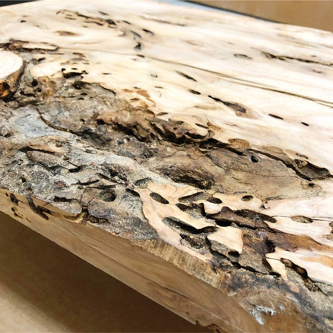Revive Punky Wood with Penetrating Epoxy Sealer #epoxywood 
