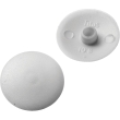 Screw Cap Covers - for 2 Square drive screws- White (100 per Pack)