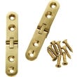 Narrow Twin Pin Sewing Machine Hinge, 1/2" W x 3" L