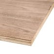24" x 48" Walnut Plywood, 3/4" Thick