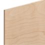 1/4'' American Birch Plywood, 24''W x 48''L