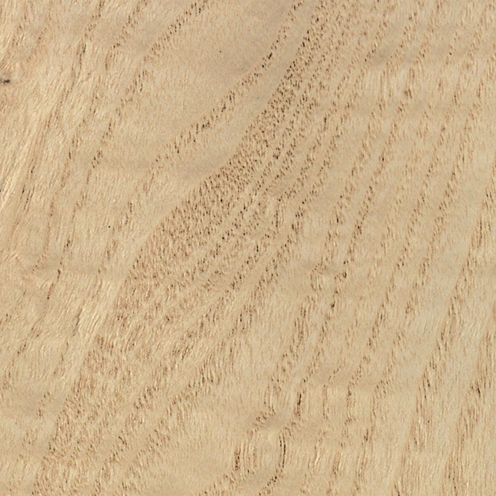 Myrtle Burl Raw Wood Veneer Sheet  6.5 x 22 inches 1/42nd               r6602-21