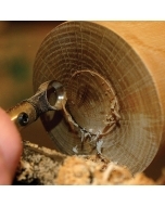 Oneway Termite Hollowing Tool Package