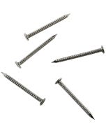 Stainless Steel Nails for Shutter System