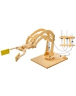 completed Pathfinders Robotic Arm Kit