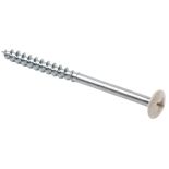 34394 - White Painted Head Screw