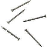 Stainless Steel Nails for Shutter System