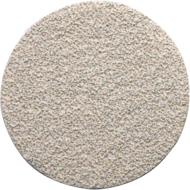2" 60 Grit Sanding Discs (Pack of 10) - main pic