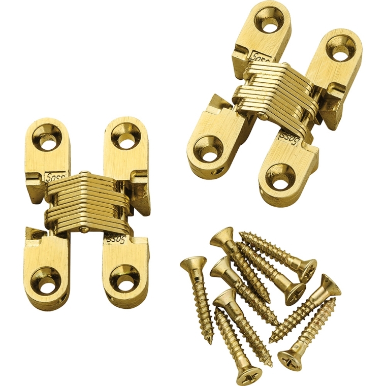 Concealed Soss Hinges-Satin Brass Finish - full pic 