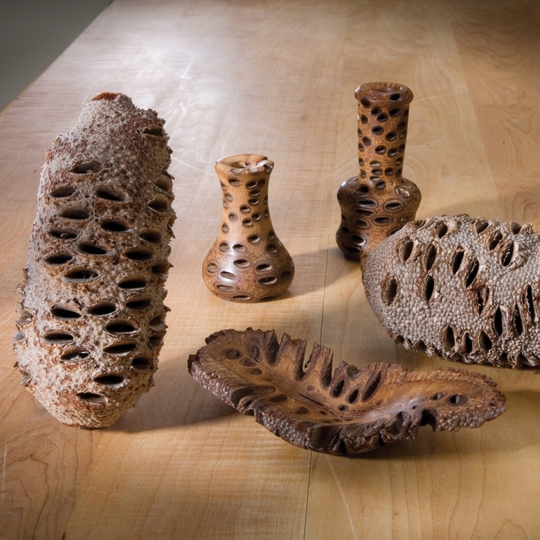 Banksia Nuts for Turning - full pic 