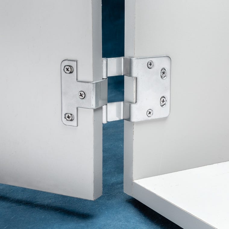 Non-Mortise Institutional Hinge - full pic 