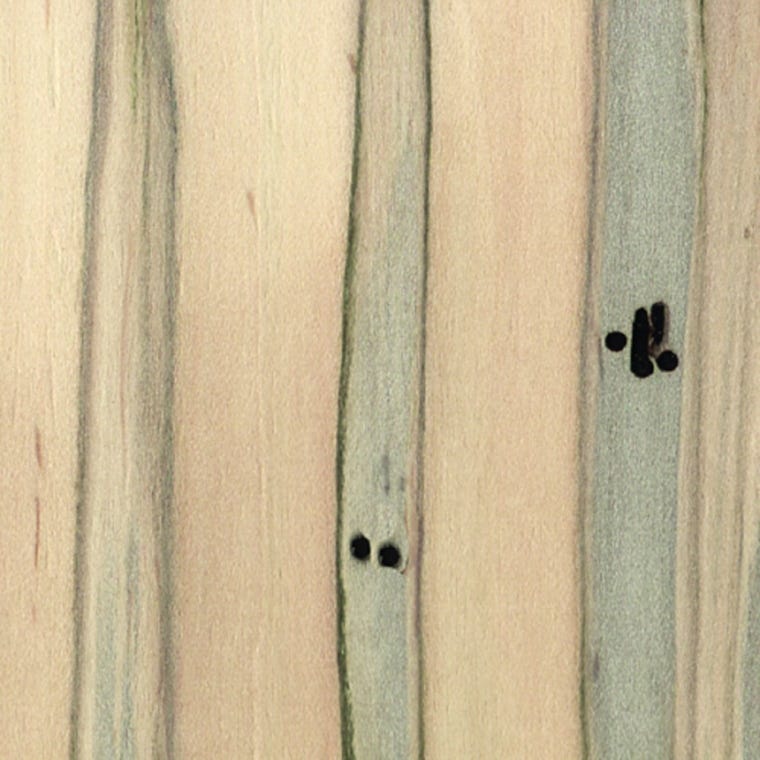 Teak 3 Sq. Ft. Pack - full pic 