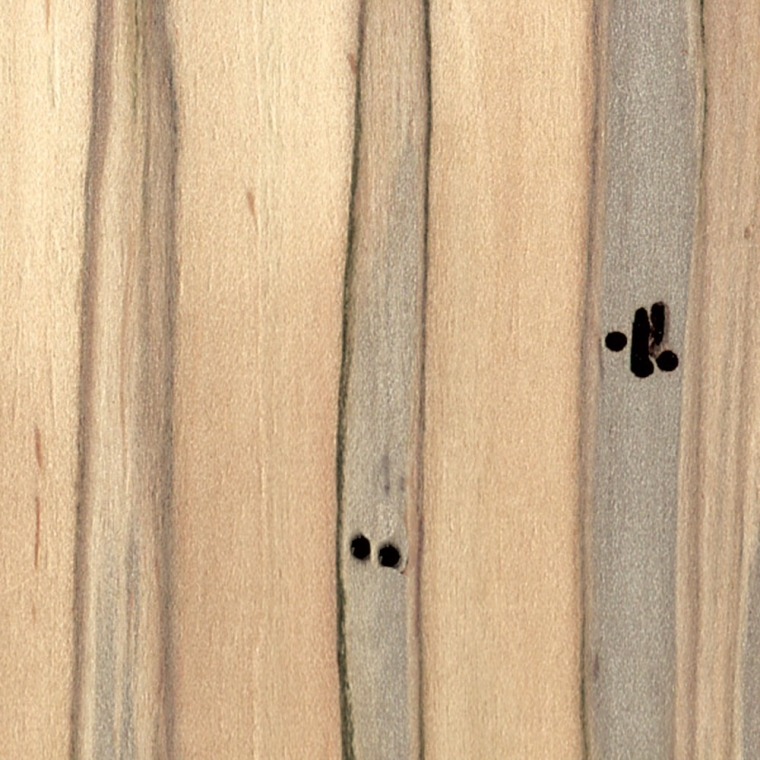Veneer Hobby Packs, 12 Square Feet - full pic 