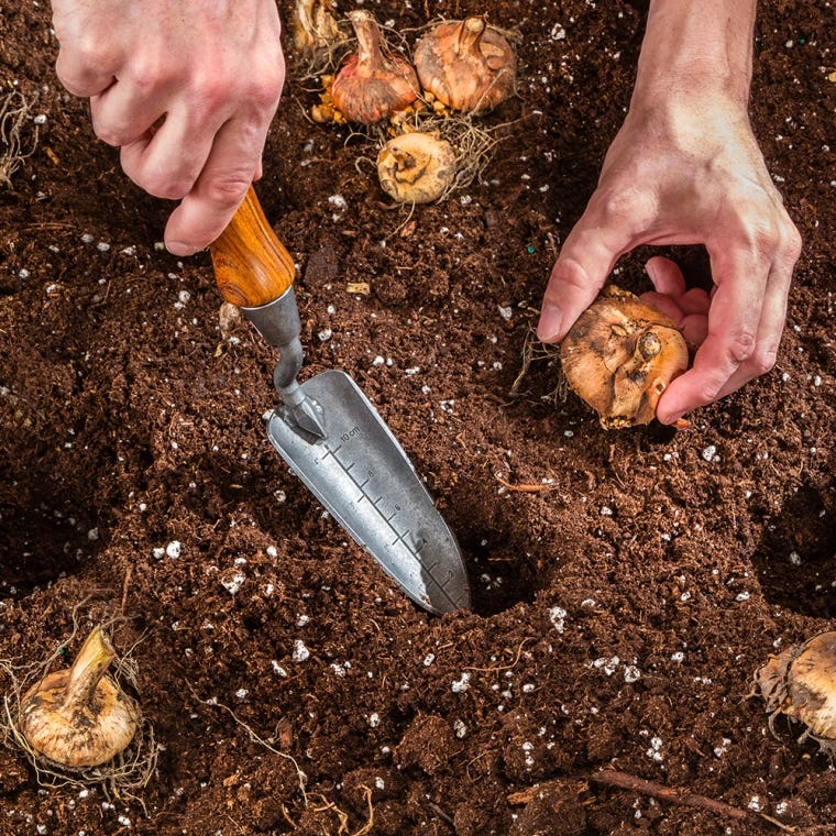 Rockler Garden Transplanter Turning Kit - full pic 