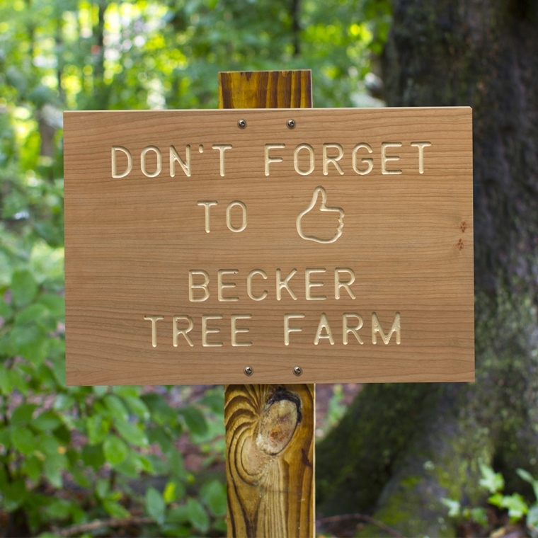 Rockler Interlock Signmaker's Templates, Shapes Kit - full pic 