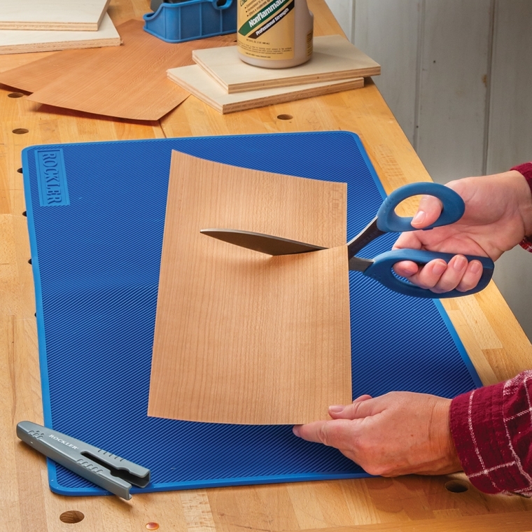 Rockler 10'' Shop Shears with Sheath - full pic 