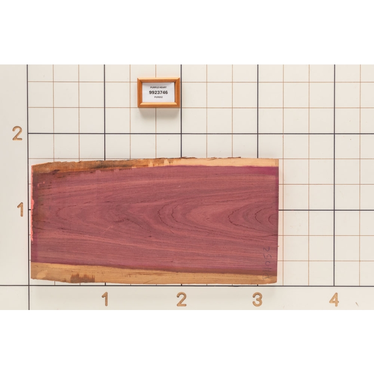 Purpleheart Live Edge Slab, 19-1/2''W x 38''L x 1-1/8'' Thick - main pic