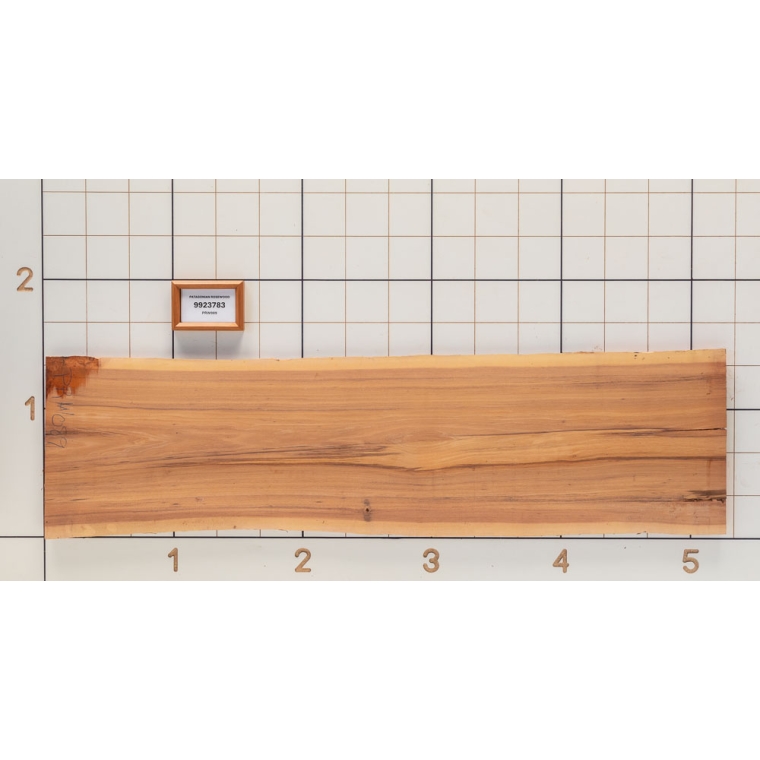 Patagonian Rosewood Live Edge Slab, 15-3/4''W x 62''L x 1-1/8'' Thick - main pic