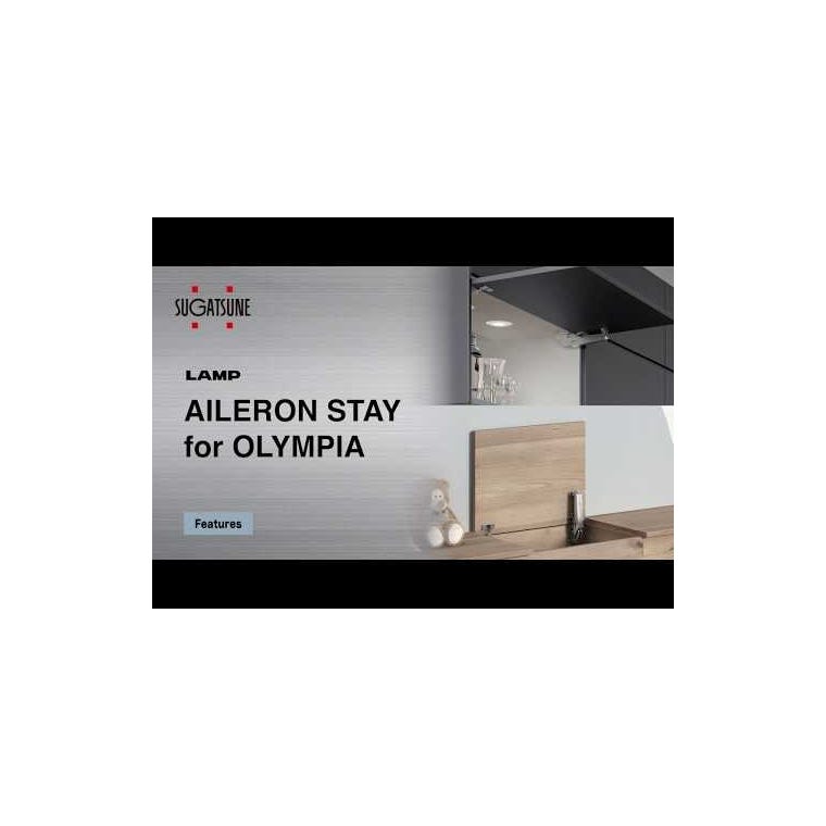 Sugatsune Aileron Lift-Assist Soft-Close Hinge Set and Lid Stay for Chests - main pic