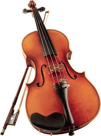 Hide glue used in assembling stringed instruments