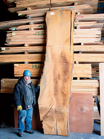 Man standing next to a large slab of American chestnut lumber