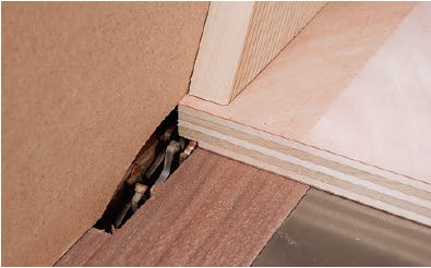 cutting shelving rabbets with a dado blade