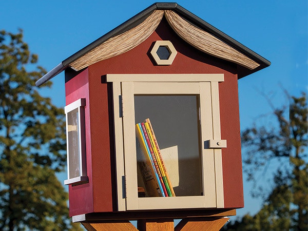 Close-up of completed lending library project