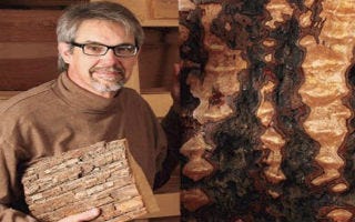 How to Keep Bark on Wood Slices 