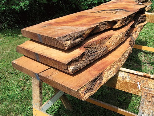 Collection of live edge mesquite lumber pieces