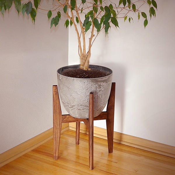 walnut plant stand