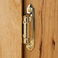 Surface mount semi-concealed hinge