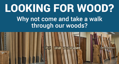 Looking for wood? Come take a walk through our woods